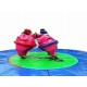 Sumo Wrestling Suits With Mat