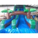 Water Slide Tropical Surf